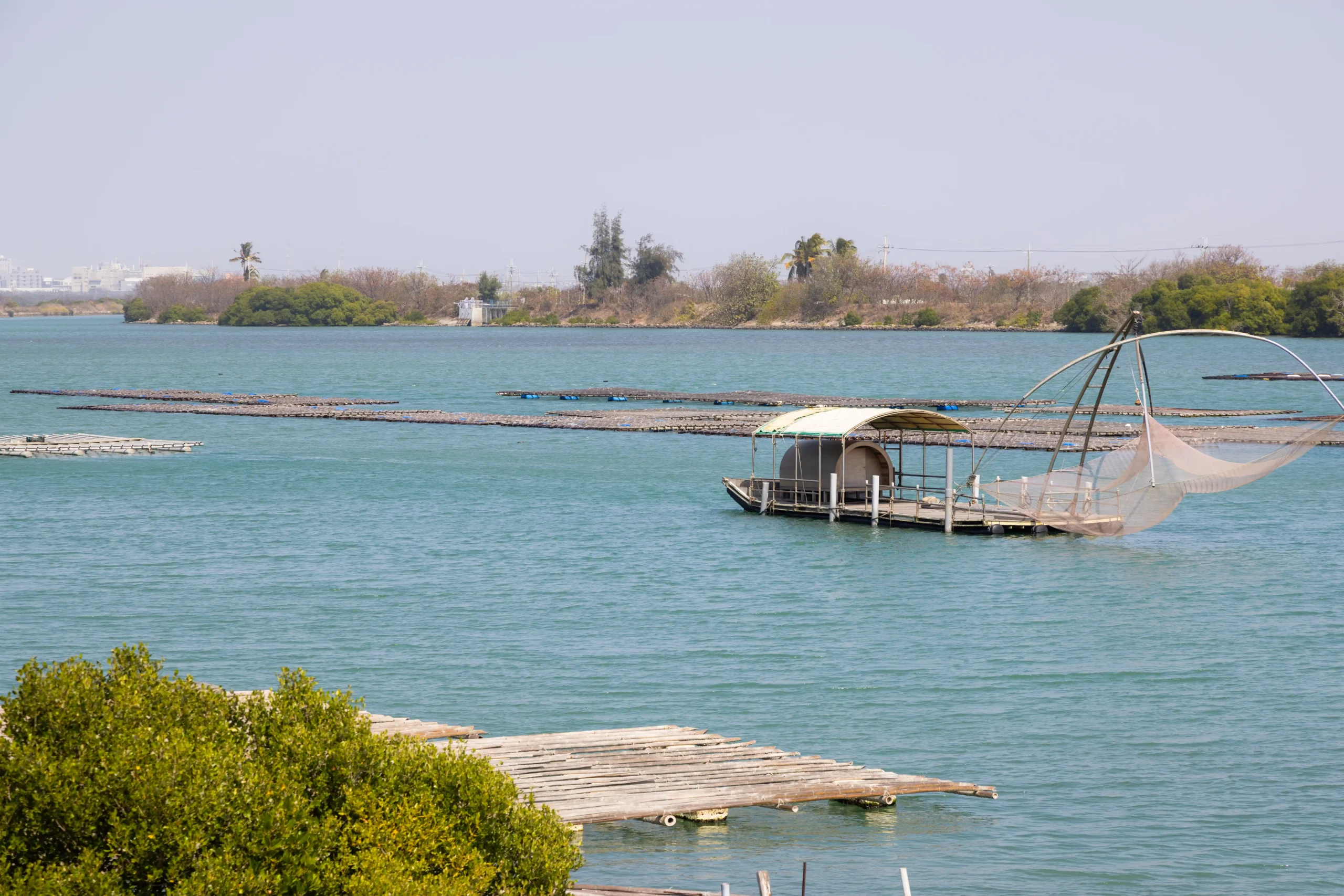 coastal-oyster-field-over-the-sea-2025-03-31-18-26-30-utc