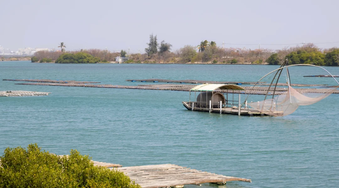 coastal-oyster-field-over-the-sea-2025-03-31-18-26-30-utc