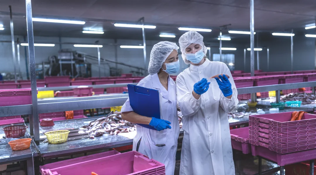 the-research-team-inspected-the-seafood-production-2025-06-02-00-35-37-utc